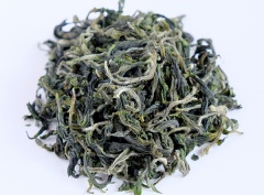 2023 Pre Qing Ming San Xia Bi Luo Chun Green Tea